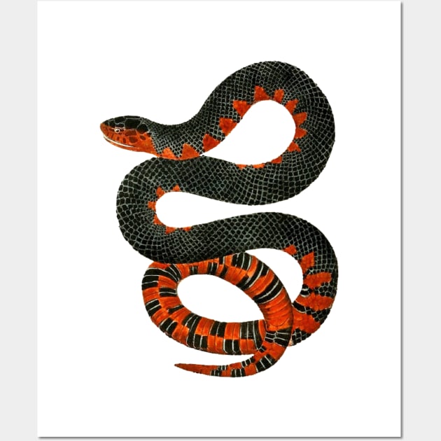 Scary Snake Wall Art by born30